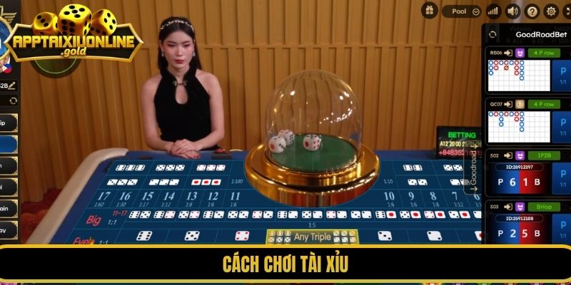 cách chơi tài xỉu