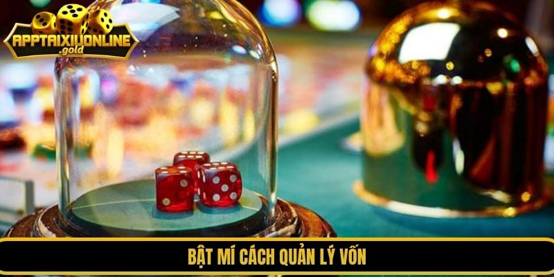 Bật mí cách quản lý vốn