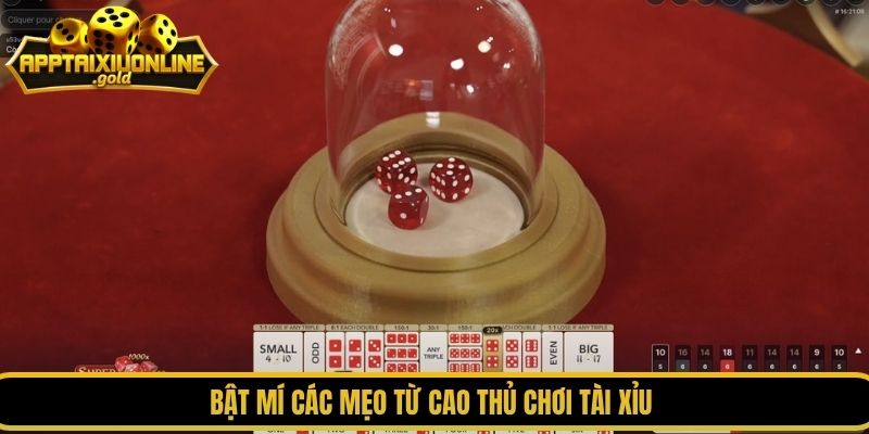 Bật mí các mẹo từ cao thủ chơi tài xỉu